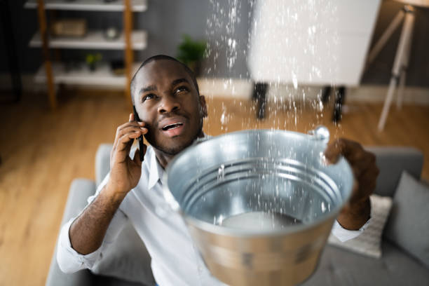 Best Water damage cleanup near me  in Baiting Hollow, NY