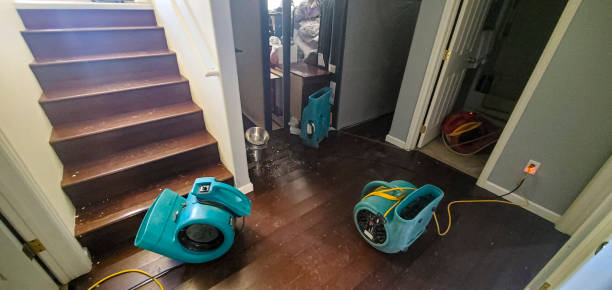 Best Water damage restoration company  in Baiting Hollow, NY