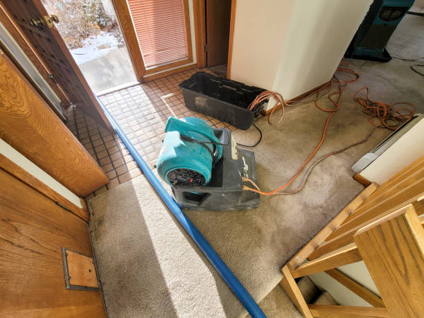 Best Water damage restoration near me  in Baiting Hollow, NY