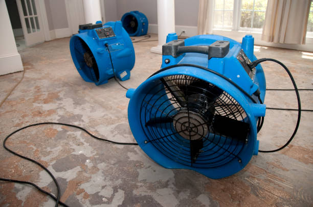 Best Carpet water damage restoration  in Baiting Hollow, NY