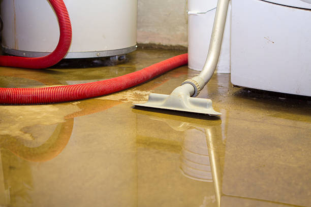 Best Local water damage restoration  in Baiting Hollow, NY