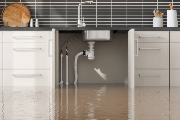 Best Residential water damage restoration  in Baiting Hollow, NY